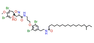 Psammaplysin T